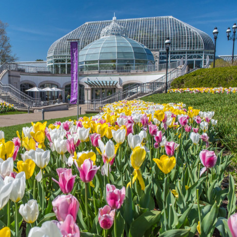 Phipps Conservatory and Botanical Gardens